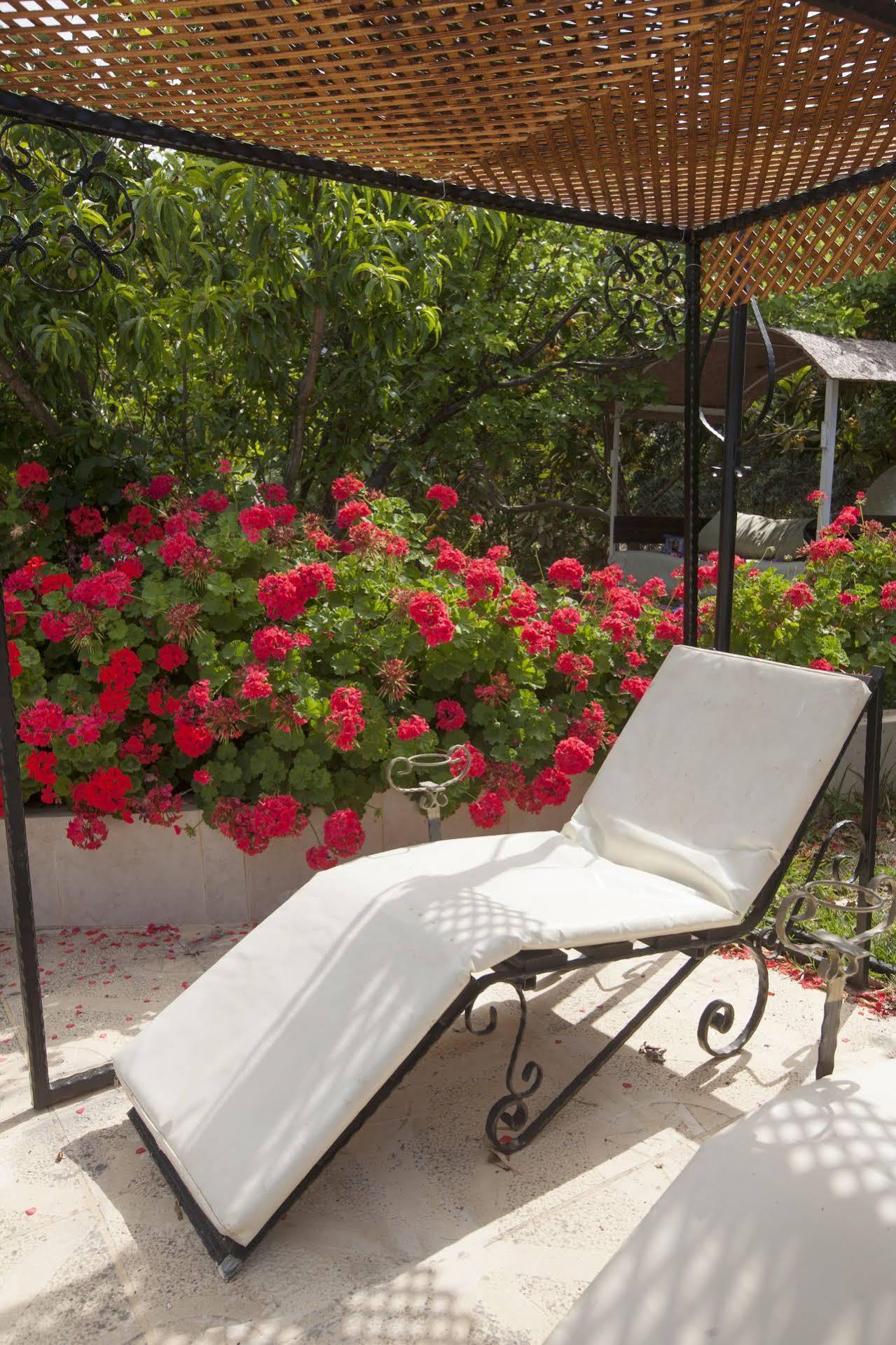 Lapida Garden Hotel Lapta Dış mekan fotoğraf