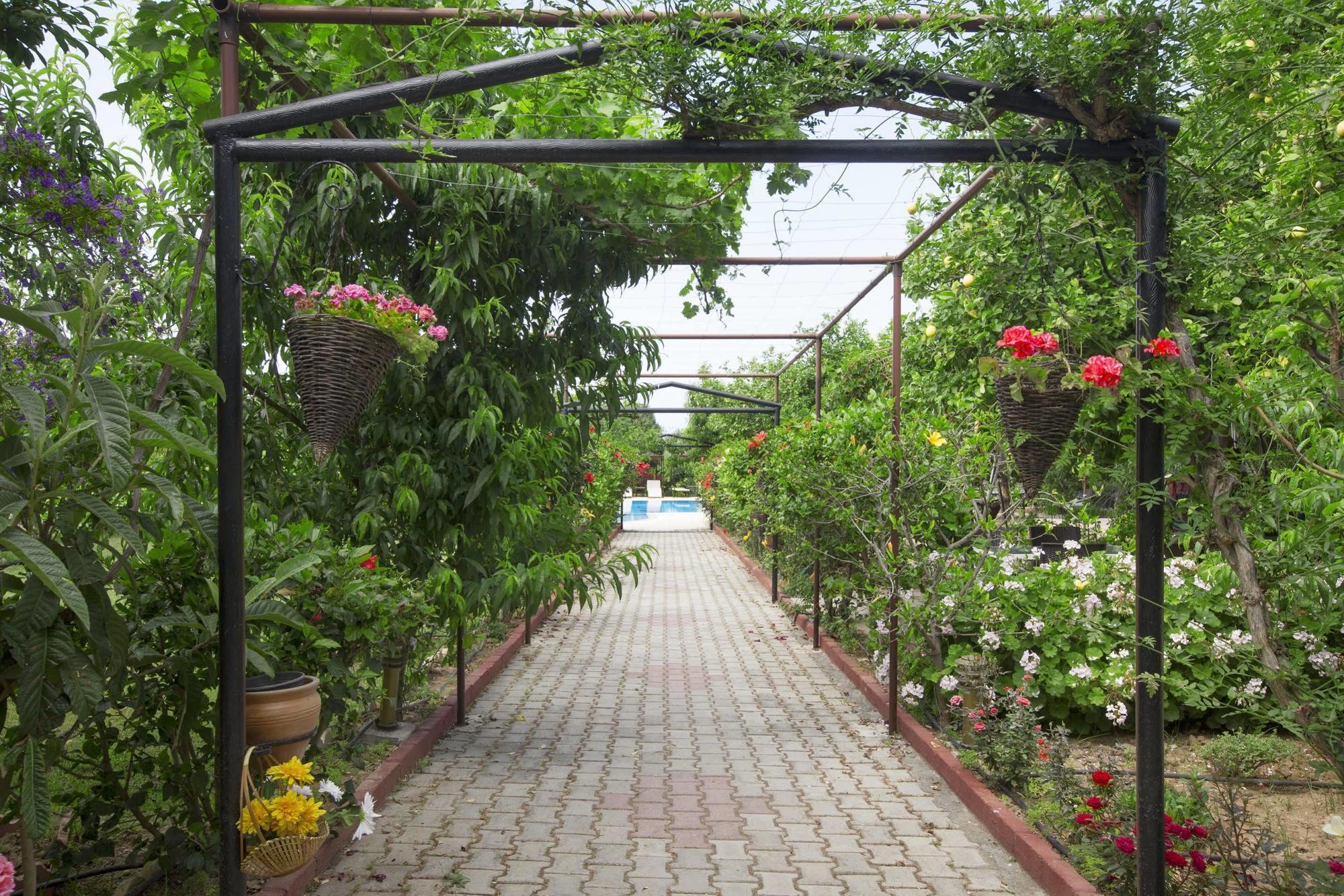 Lapida Garden Hotel Lapta Dış mekan fotoğraf